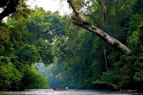 پارک ملی مالزی