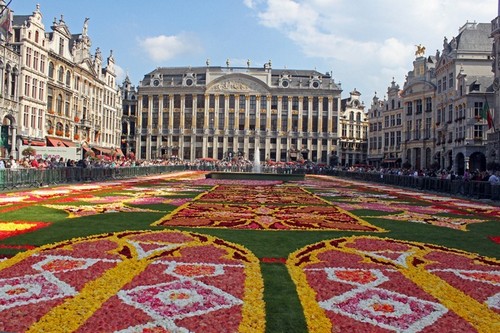 فرش گل، بروکسل، بلژیک