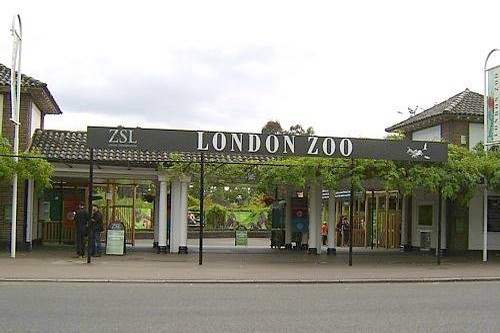 مشهورترین باغ وحش های جهان