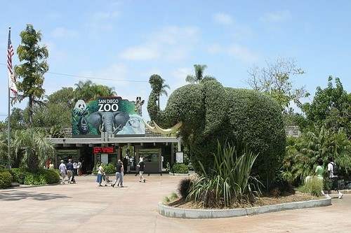 بهترین باغ وحش های جهان
