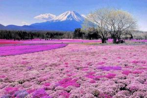 10مکان باور نکردنی در ژاپن