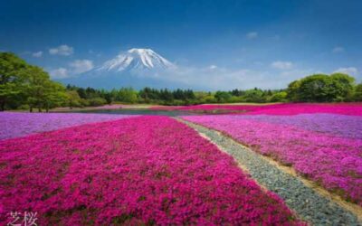 جاذبه های طبیعی و عجایب طبیعی ژاپن