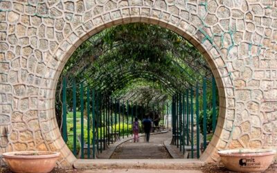 گزارش تصویری از باغ Lal Bagh هند