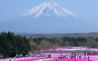 گزارش تصویری از پارک زیبای Flowery منطقه هیتاچی ژاپن