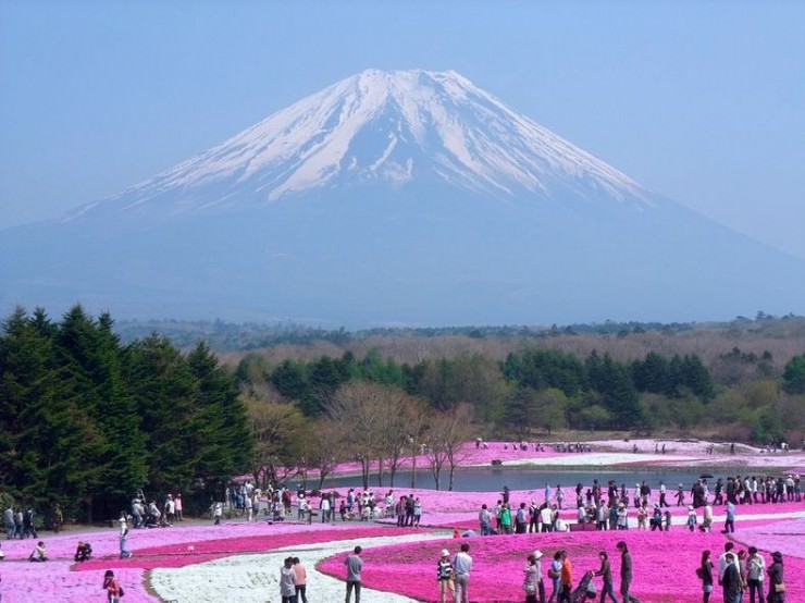 پارک گلها در ژاپن