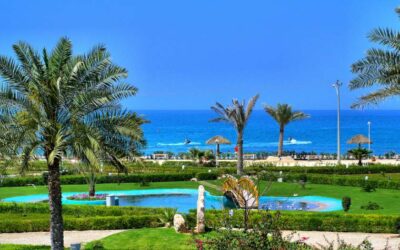 بهترین تفریحات و جاهای دیدنی کیش