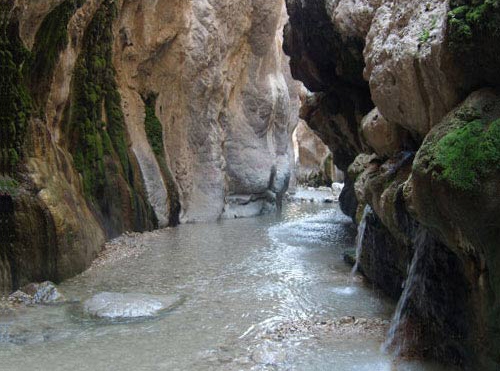 چشمه آب گرم مرتضی علی یزد