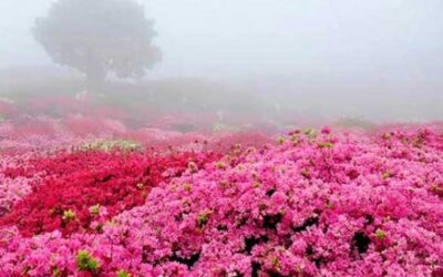 بهترین جاهای دیدنی مناطق اطراف اصفهان