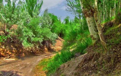بهترین جاهای دیدنی استان خراسان رضوی