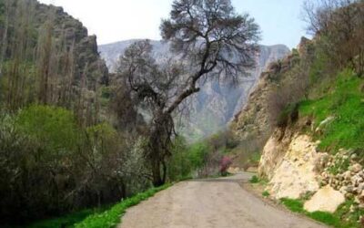 بهترین جاهای دیدنی ایلام