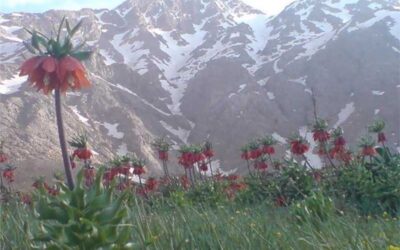 بهترین جاهای دیدنی لرستان و خرم آباد