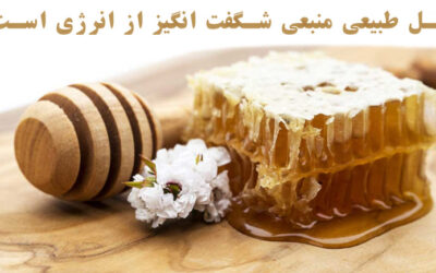 عسل طبیعی و دیگر محصولات زنبور عسل را چقدر میشناسید؟