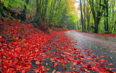 جاهای دیدنی استان مازندران