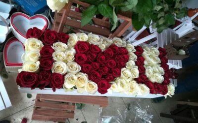 باکس گل شادیچی در خرید گل سوپرایز می کند!