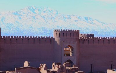 ارگ راین