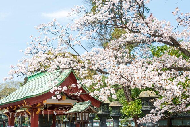 جاذبه و مکان جالب و دیدنی ژاپن