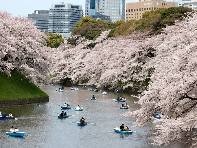 جاذبه و مکان جالب و دیدنی ژاپن