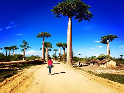 جاذبه ها ، دیدنی ها و شگفتی های ماداگاسکار