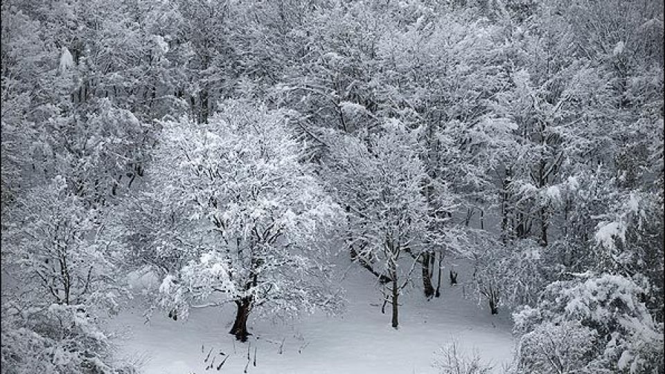 جاهای دیدنی رشت در زمستان