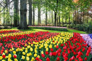 Netherlands tourist attractions