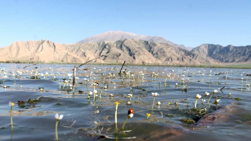 تالاب بندون از جاهای دیدنی خوزستان در بهار