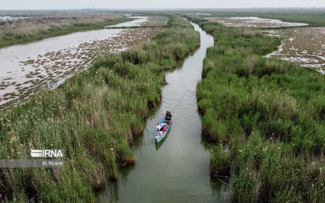 تالاب شادگان