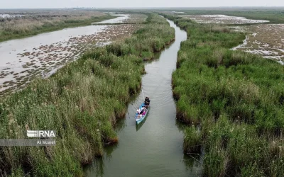 تالاب شادگان