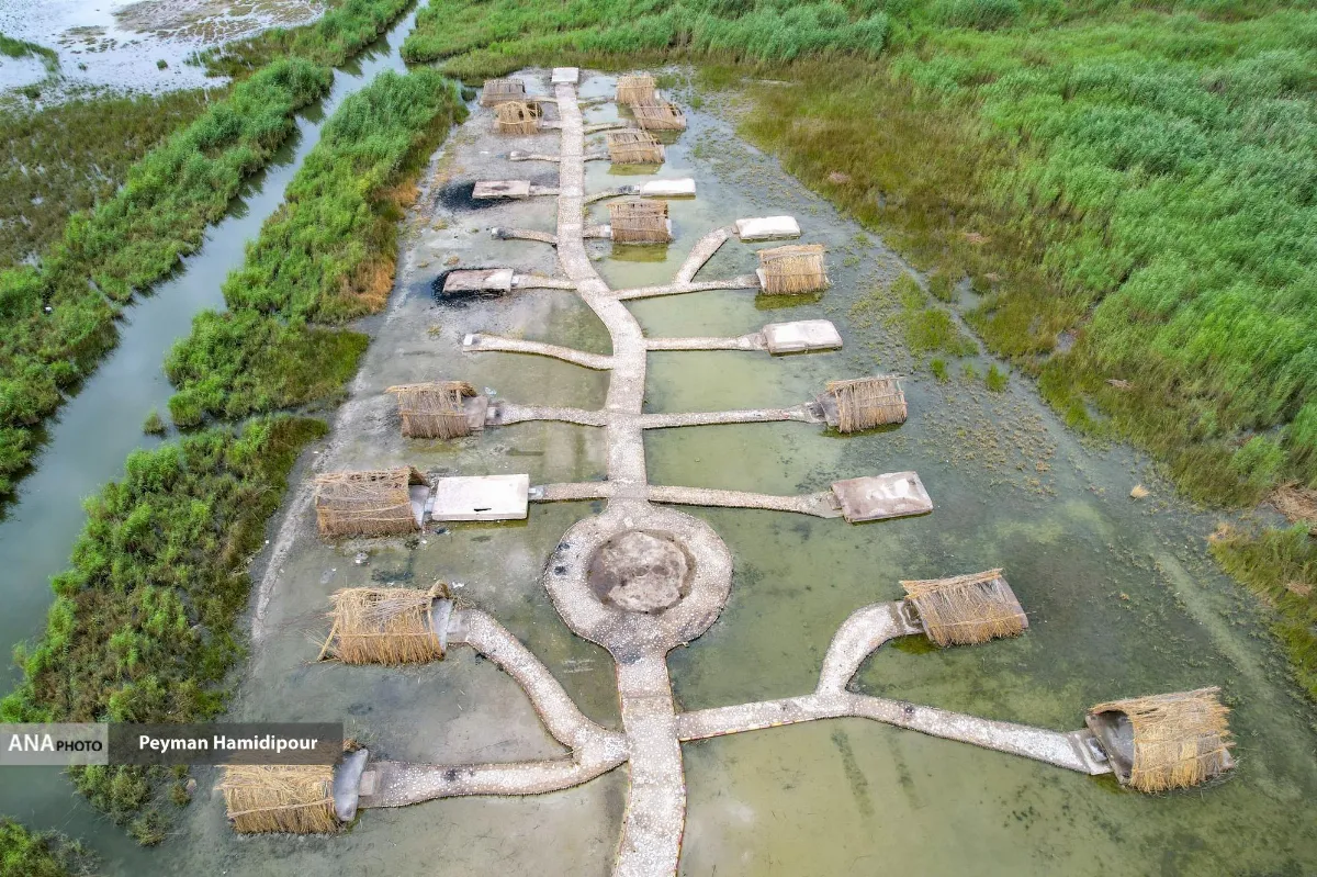 تالاب شادگان