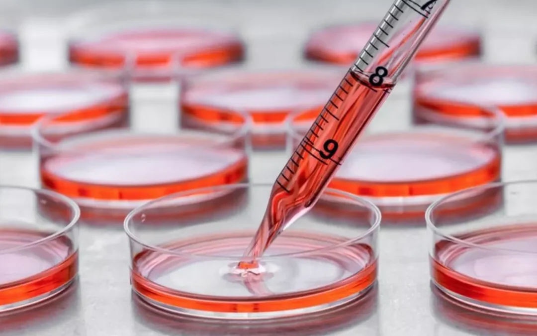 تجهیزات استاندارد در کشت سلولی