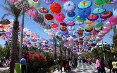 با این 10 ترفند کیش را به بهترین سفر عمر خود تبدیل کنید