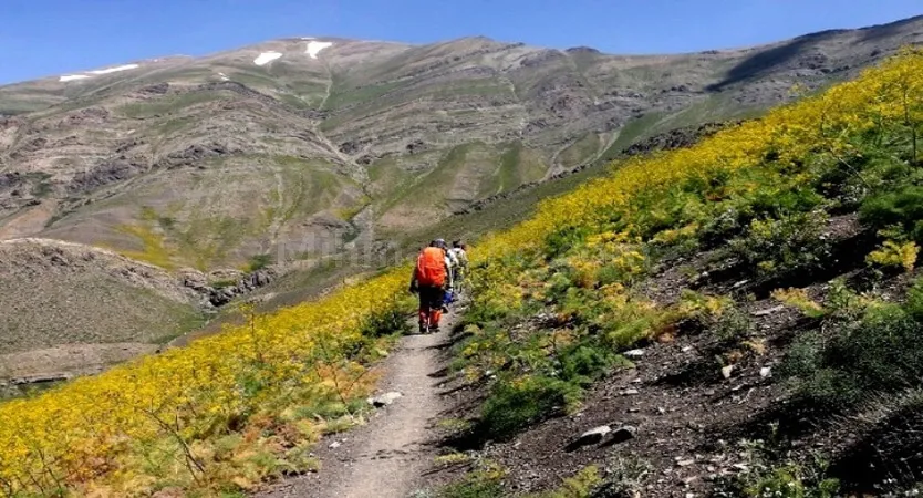 دره پیازچال تهران