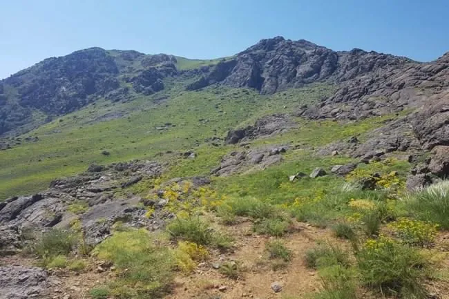 دره پیازچال تهران