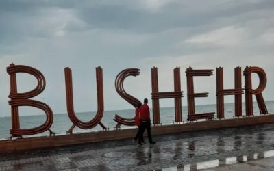 چطور در سفر به بوشهر بهترین‌های هر حوزه را پیدا کنیم؟ راهنمای کامل گردشگری و خدمات ضروری