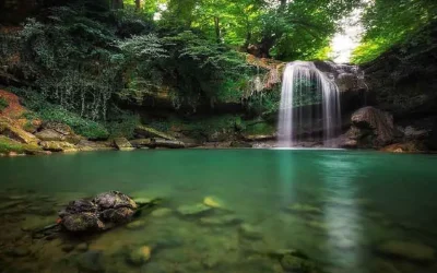 جنگل دالخانی مازندران