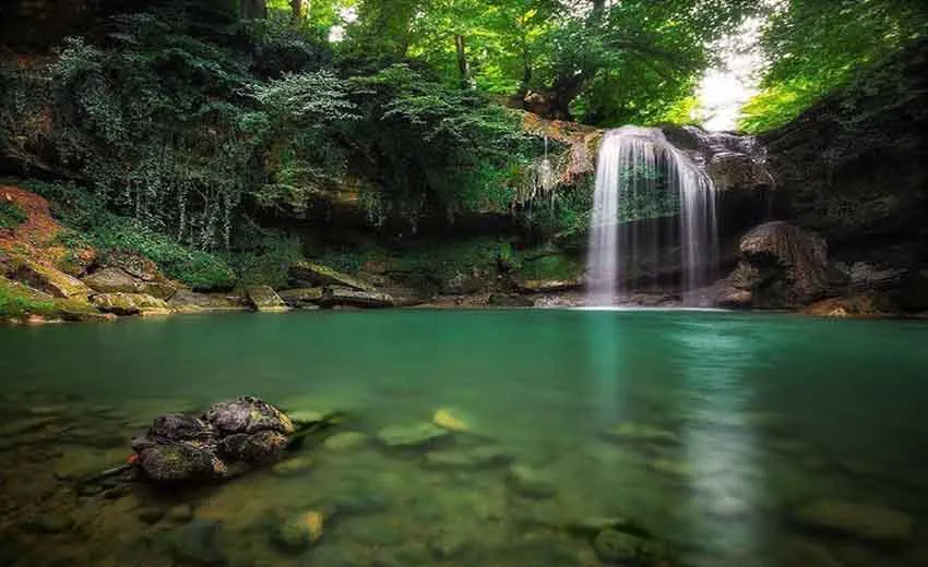 جنگل دالخانی مازندران